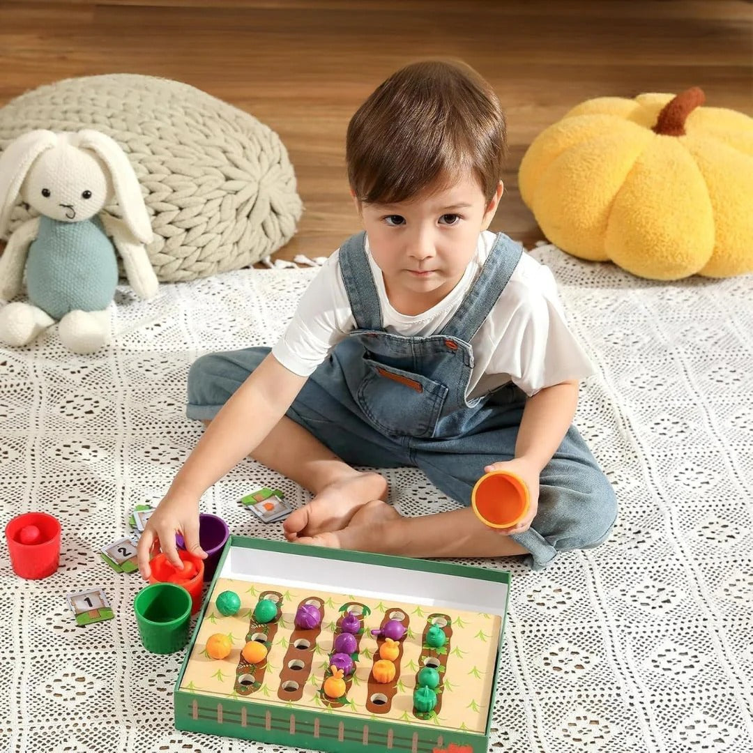 Montessori Color Sorting Game