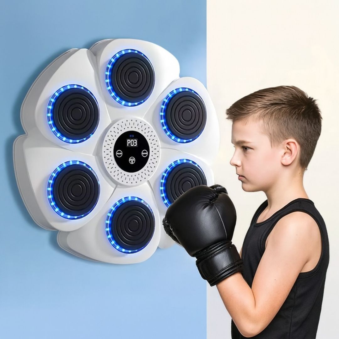 MiniBoxer