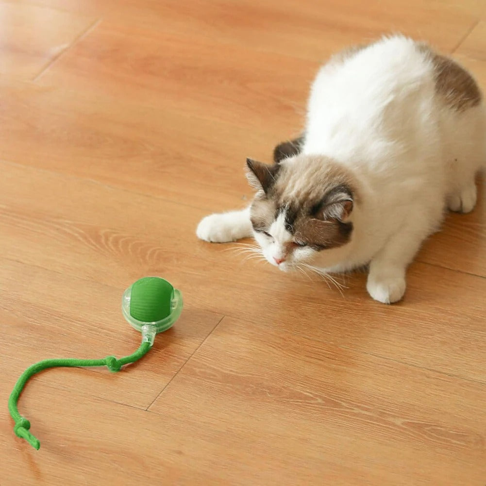 Interactive Cat Toy With Tail