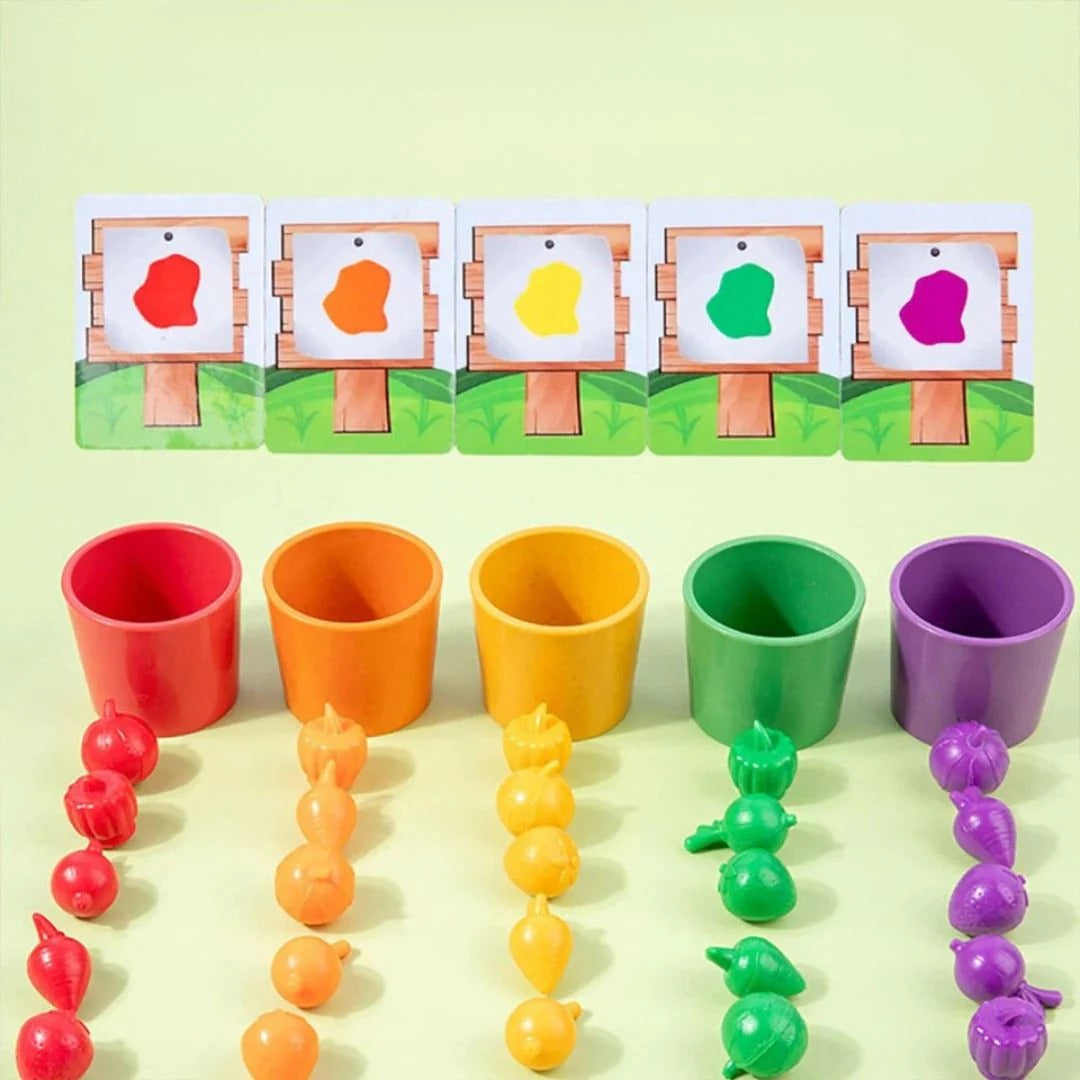 Montessori Color Sorting Game