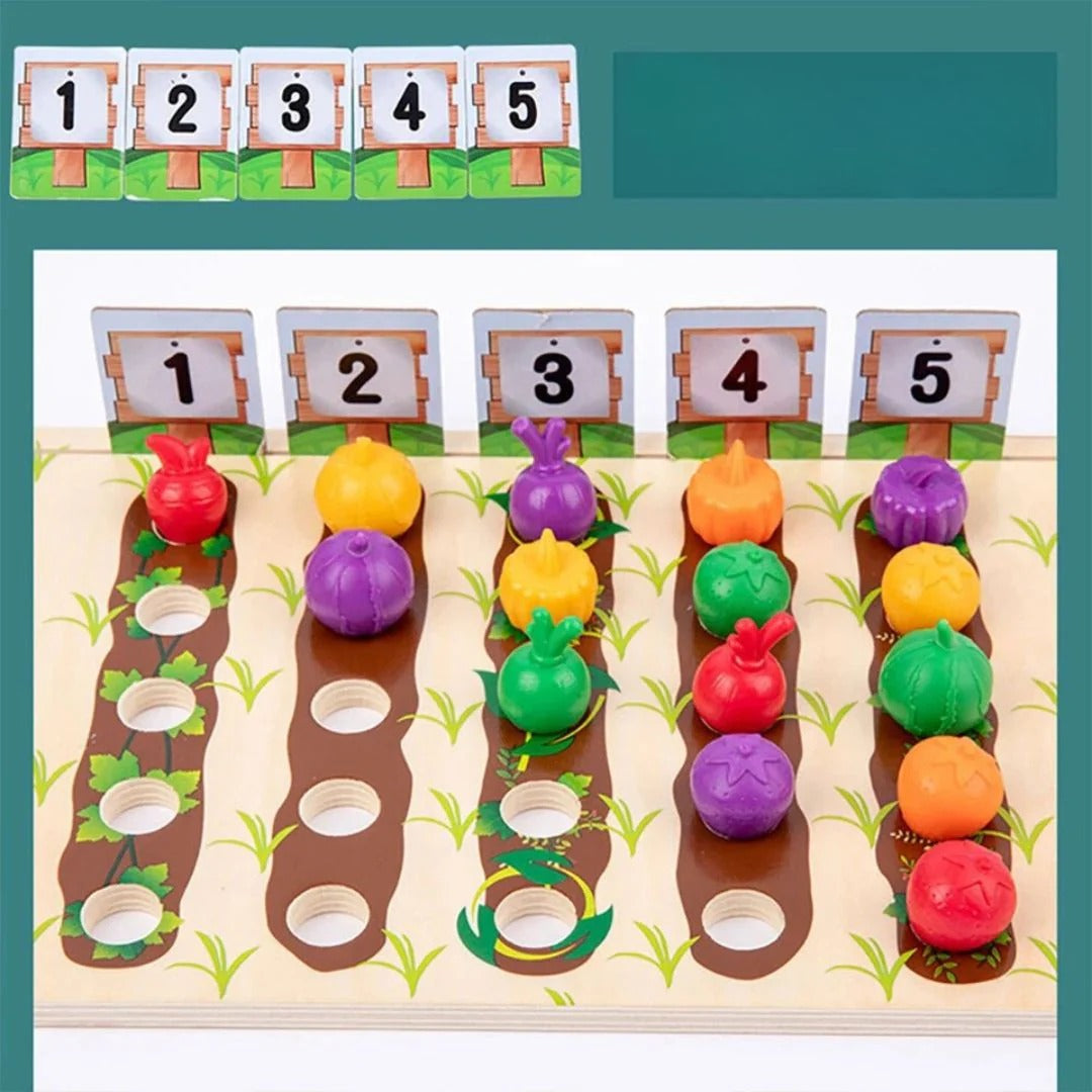 Montessori Color Sorting Game