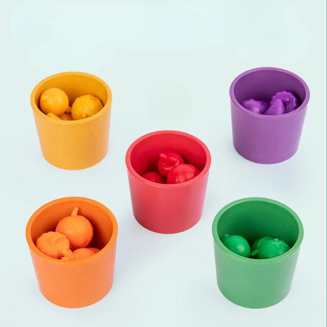 Montessori Color Sorting Game