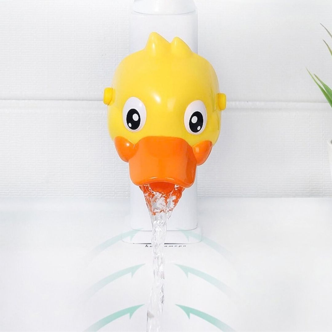 WashDuck