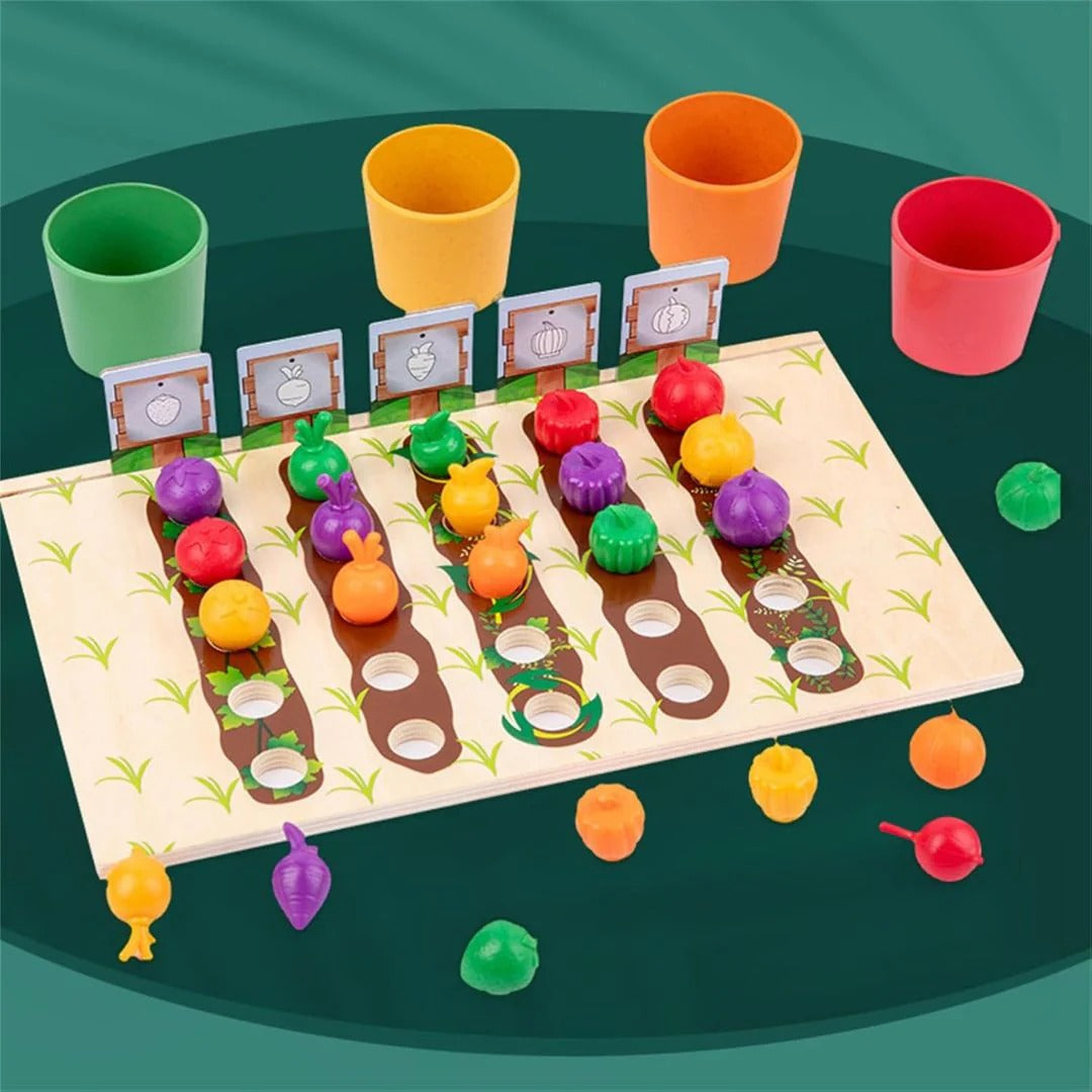 Montessori Color Sorting Game