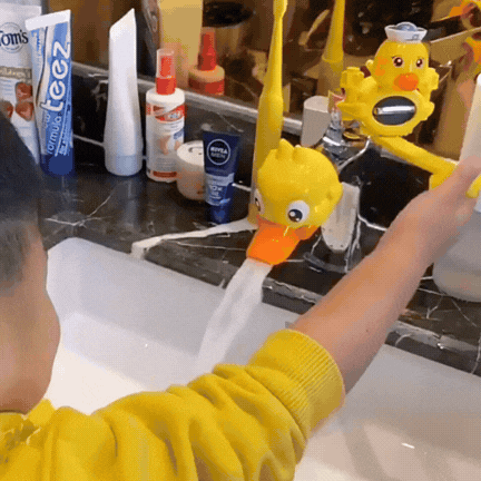 WashDuck