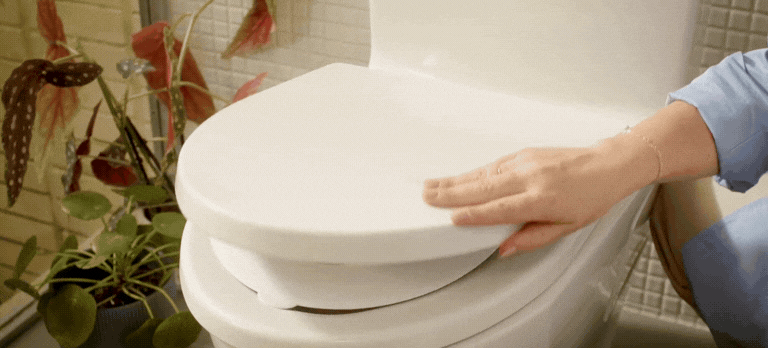 PottyPal - Flip-Up Toilet Training Seat