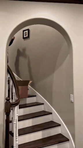 SpookyWalls - 3D Halloween Wall Decorations for Kids