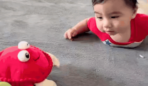 GroovyCrab - Musical Dancing Crab Toy
