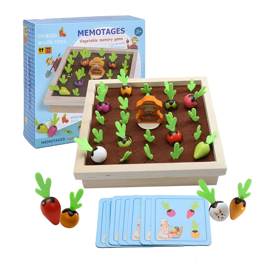 CarrotMagic - Creative Educational Toys